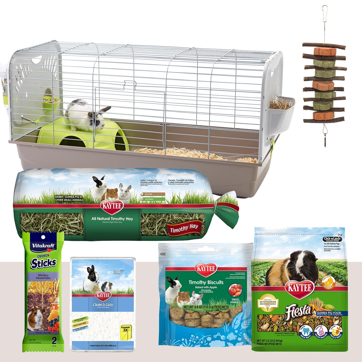 Guinea Pig Starter Set